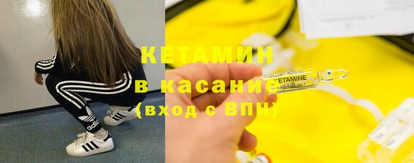 гидра Арсеньев