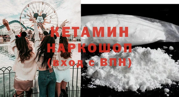 гидра Арсеньев