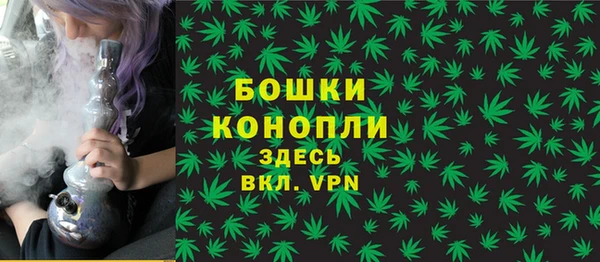 гидра Арсеньев